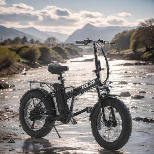 20inch electric bike fat - 20inch,
