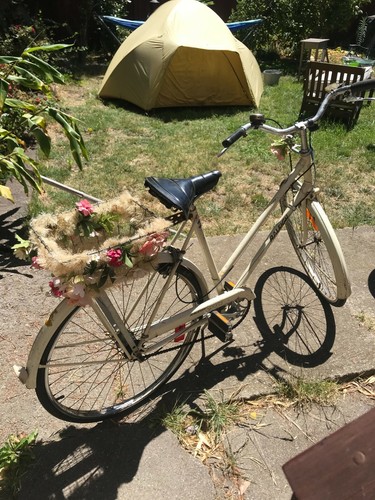 Raleigh woman speed bike - woman's,