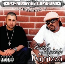 Used Back B4 You’re Lonely Guitar Pedal