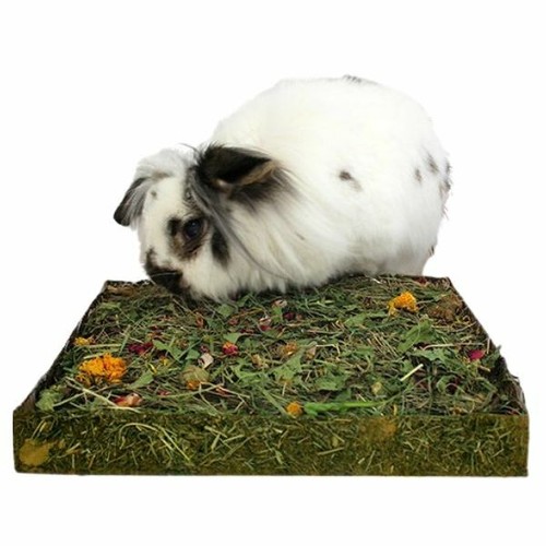 Rosewood nibble dig small - dig,