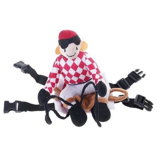 Dog equestrian riding animal - equestrian,