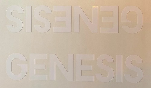 Genesis double downtube decal
