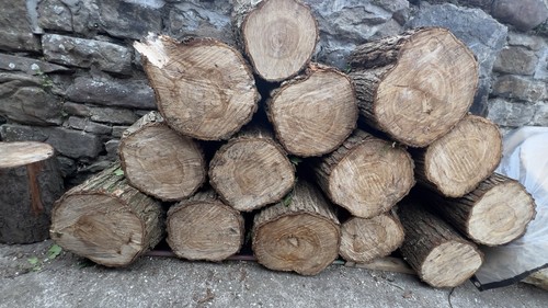 Wood log slices stepping - log,