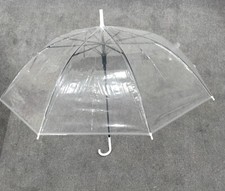 Large Clear Dome See Through