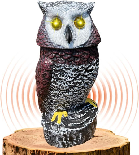 Solar powered garden owl - owl, with