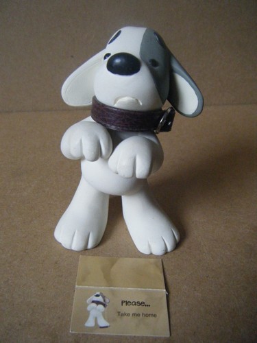 Lost dog please 19072 craig - 19072.,