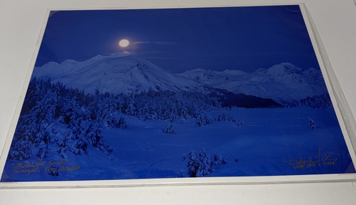 Alaska wildlife images - wildlife,