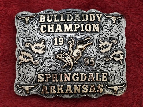 Bull riding - bull,