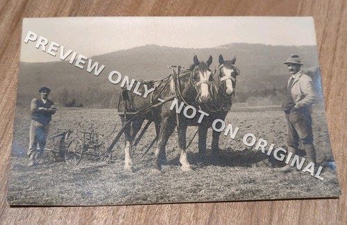 Antique rppc swiss - antique, farm