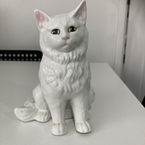 Small white persian cat - small,