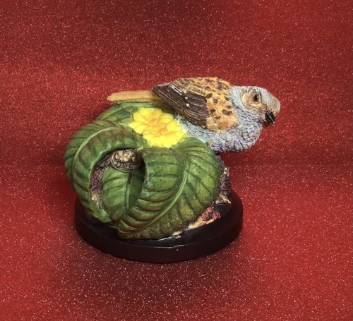 Country bird collection andy - bird,