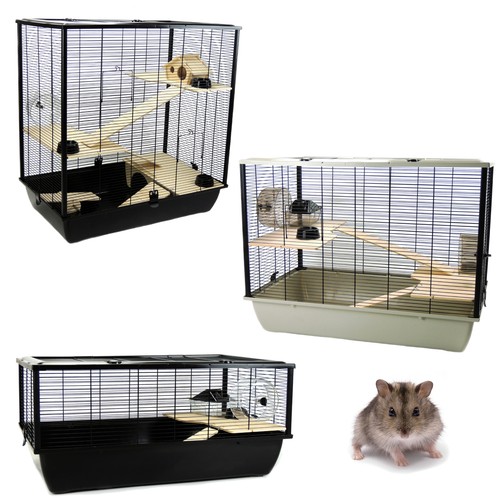 Rat syrian hamster cages - syrian, pets