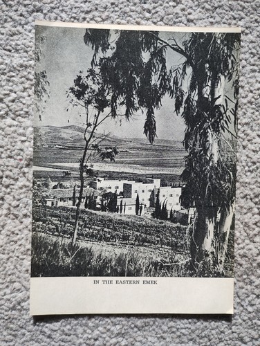 The eastern emek israel - israel,