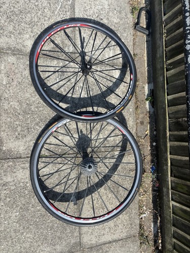 Fulcrum racing quattro - racing, alloy