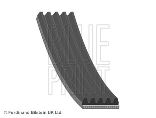 Blue print ad05r1212 ribbed - print,