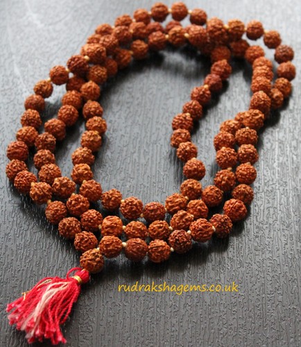 Rudraksha 10mm japa mala - rudraksha, with