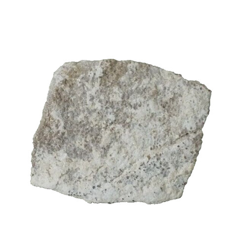 Dinosaur egg shell saltasaurus - egg,