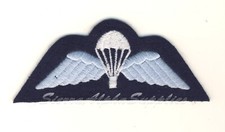 British Army Surplus Issue Sew on RAF Regiment Parachute Jump Wings Patch, TRF