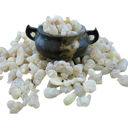 Boswellia sacra frankincense - boswellia,