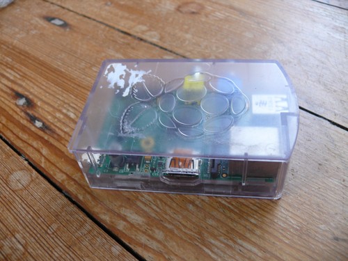 Raspberry 1 - pi, pi