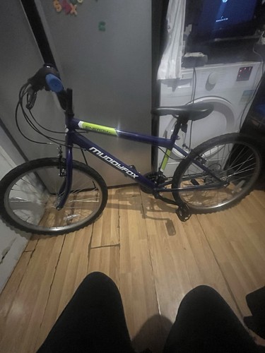 Mountain bike - mountain,