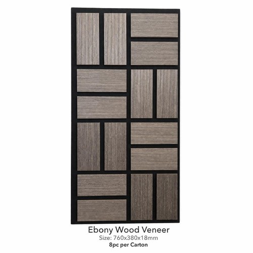 Pack ebony acoustic - 8,