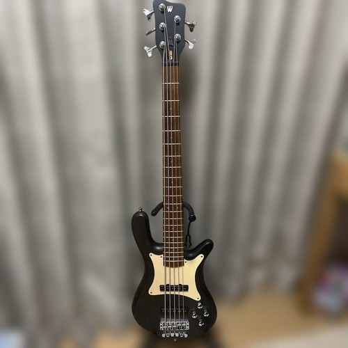 Warwick pro series - series, streamer