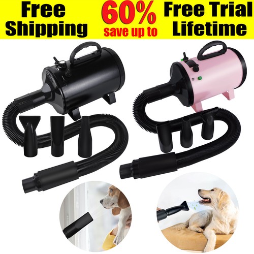 Cat dog pet - dryer, hair
