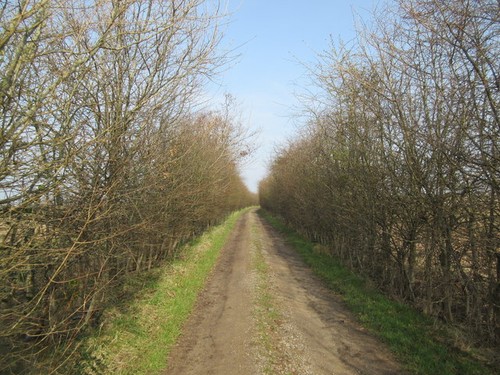 Photo enclosed track - a1, dell