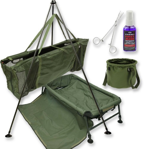 Carp fishing weighing - carp, tripod