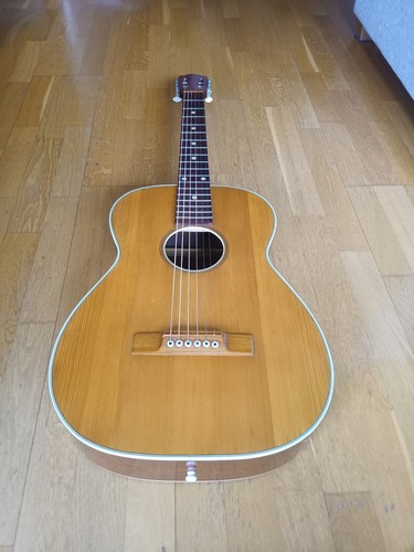 Guitar herman carlson levin - herman,