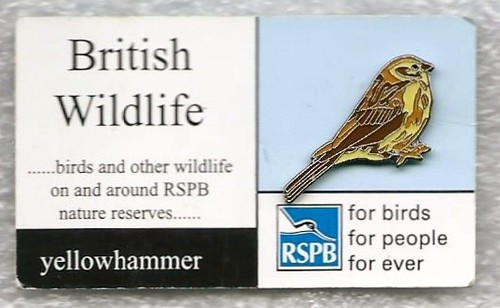 Rspb pin badges yellowhammer - pin,