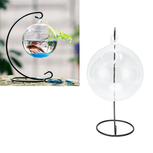 Hanging glass fish - °hanging,