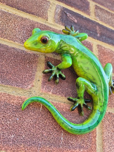 Glossy gecko lizard wall art - glossy,