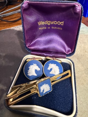 Wedgwood tie pin - pin, and