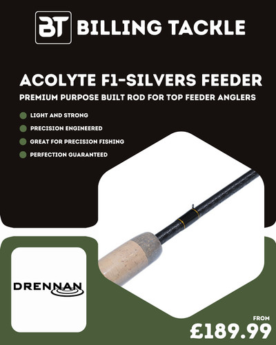 Drennan acolyte silvers - drennan,
