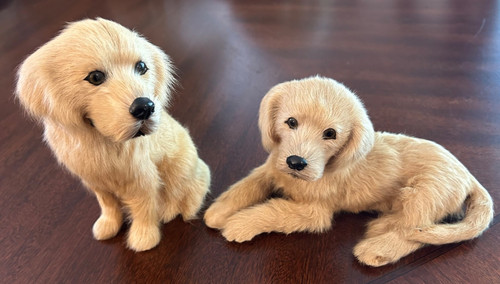 Rare find matching pair - find,