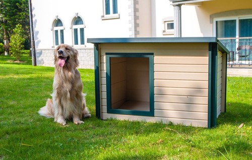 Plastic dog kennel cabin - dog,