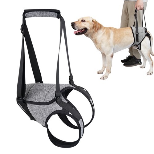 Senior dog lifting harness leg - senior,