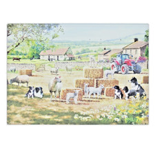 Border Collie Sheep Farmyard