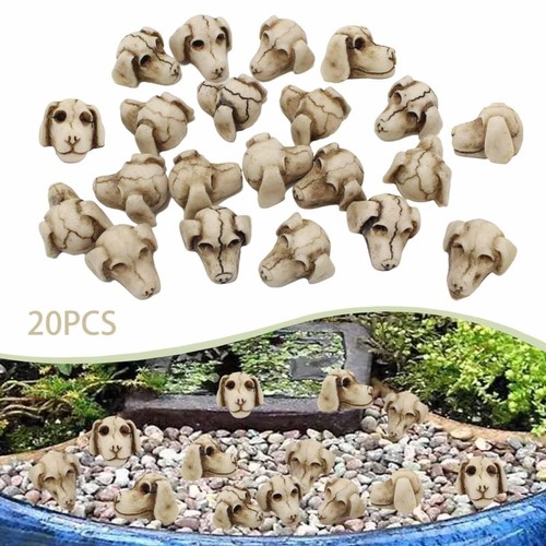 20pcs mini dog skulls - dog,