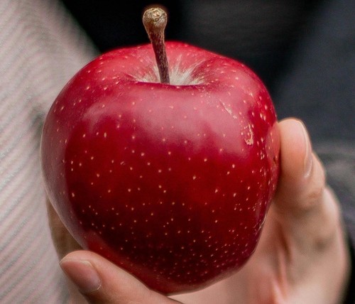 Malus red devil sweet - devil, apple