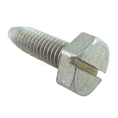 Screw for magneto - screw, back