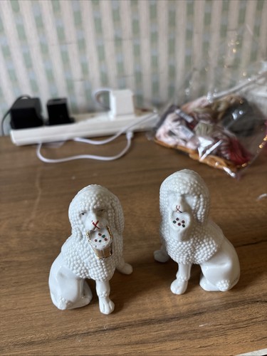 Pair dogs - of,