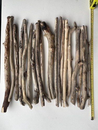 40cm straight driftwood - straight,