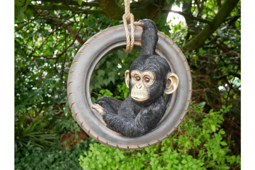 Chimpanzee tyre rope - on,