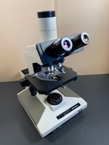 Olympus bh2 trinocular - bh2, upright