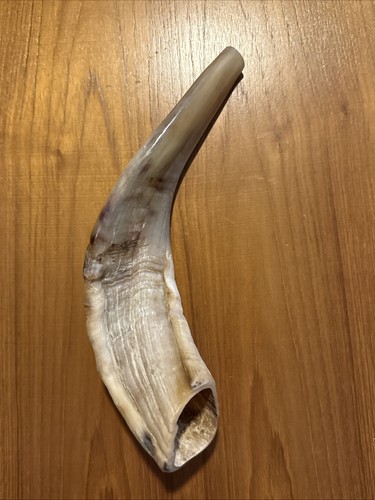 Vintage rams horn jewish - vintage,