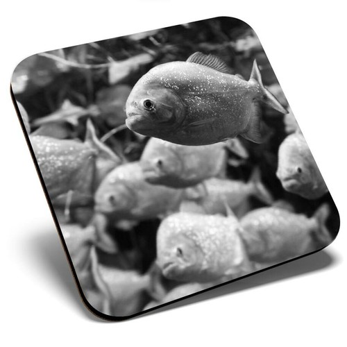 Square single coaster - coaster,