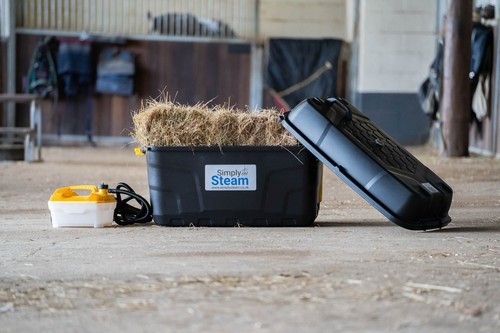 Simply steam horse - horse, hay